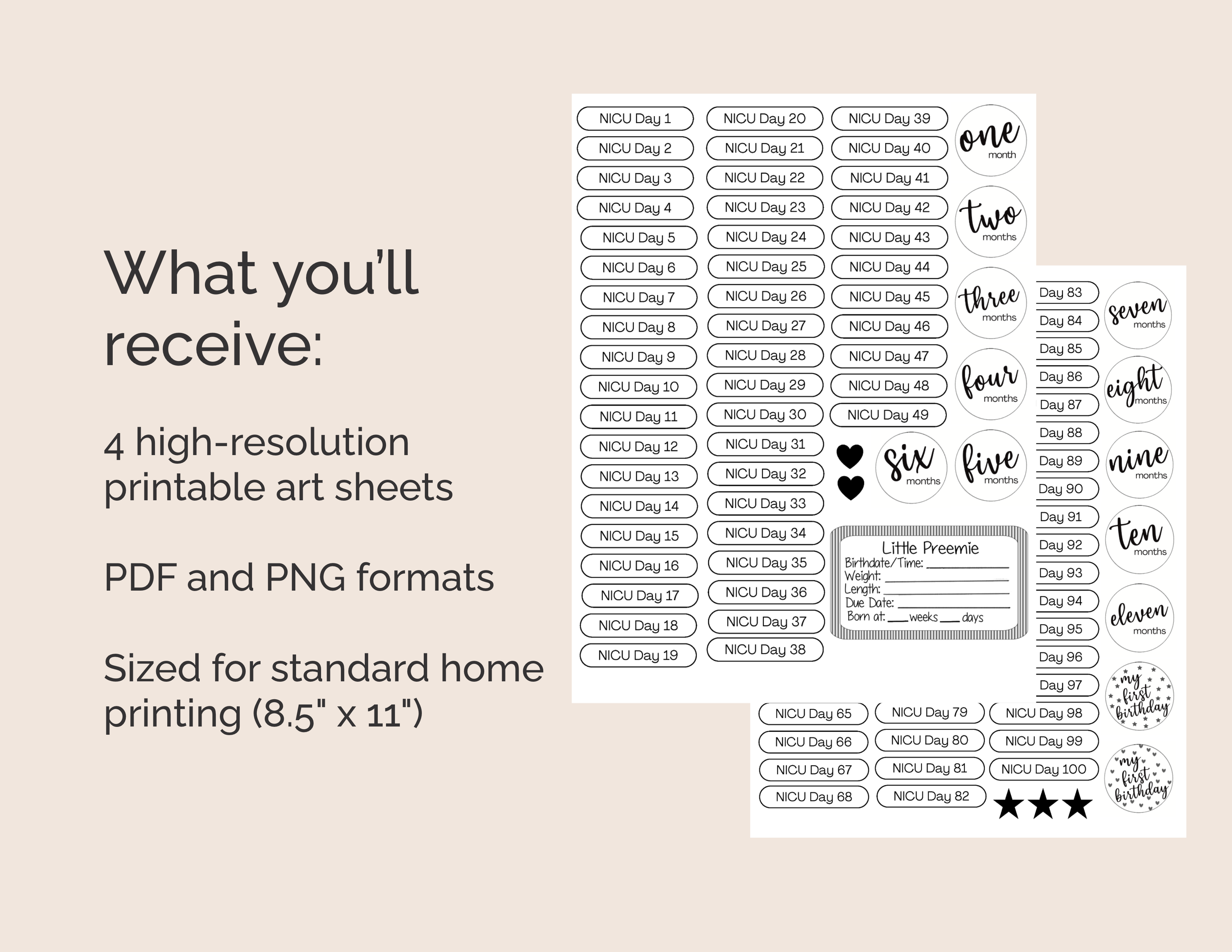 NICU Baby Journal – Printable Sticker Sheet for Milestone Tracking Digital Download